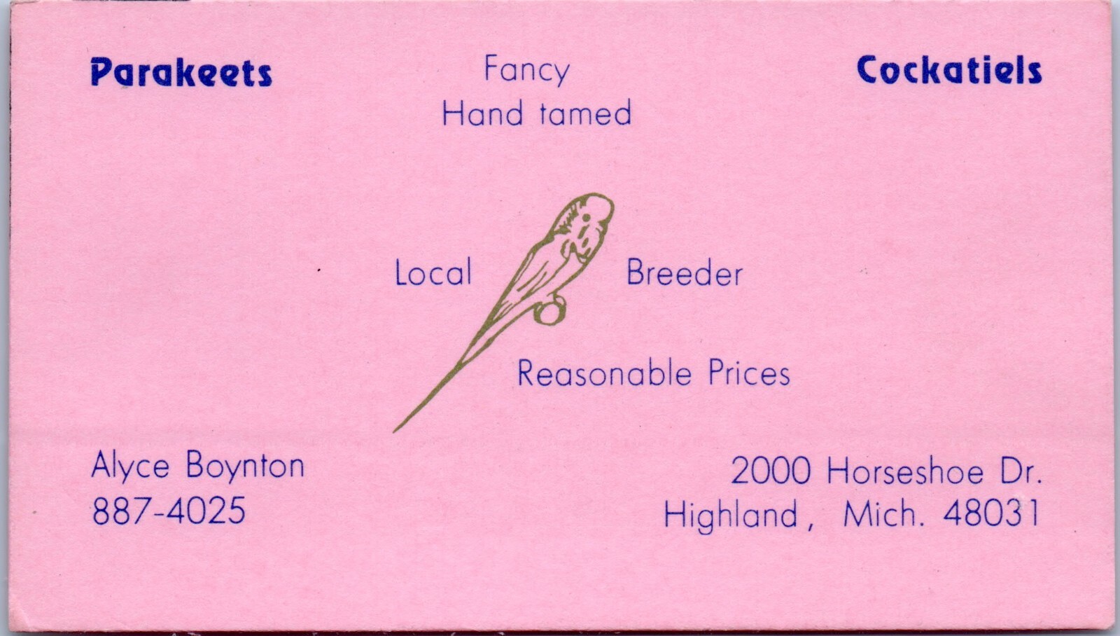 Parakeets Cockatiels Alyce Boynton Highland, Michigan Birds Business Card Pink