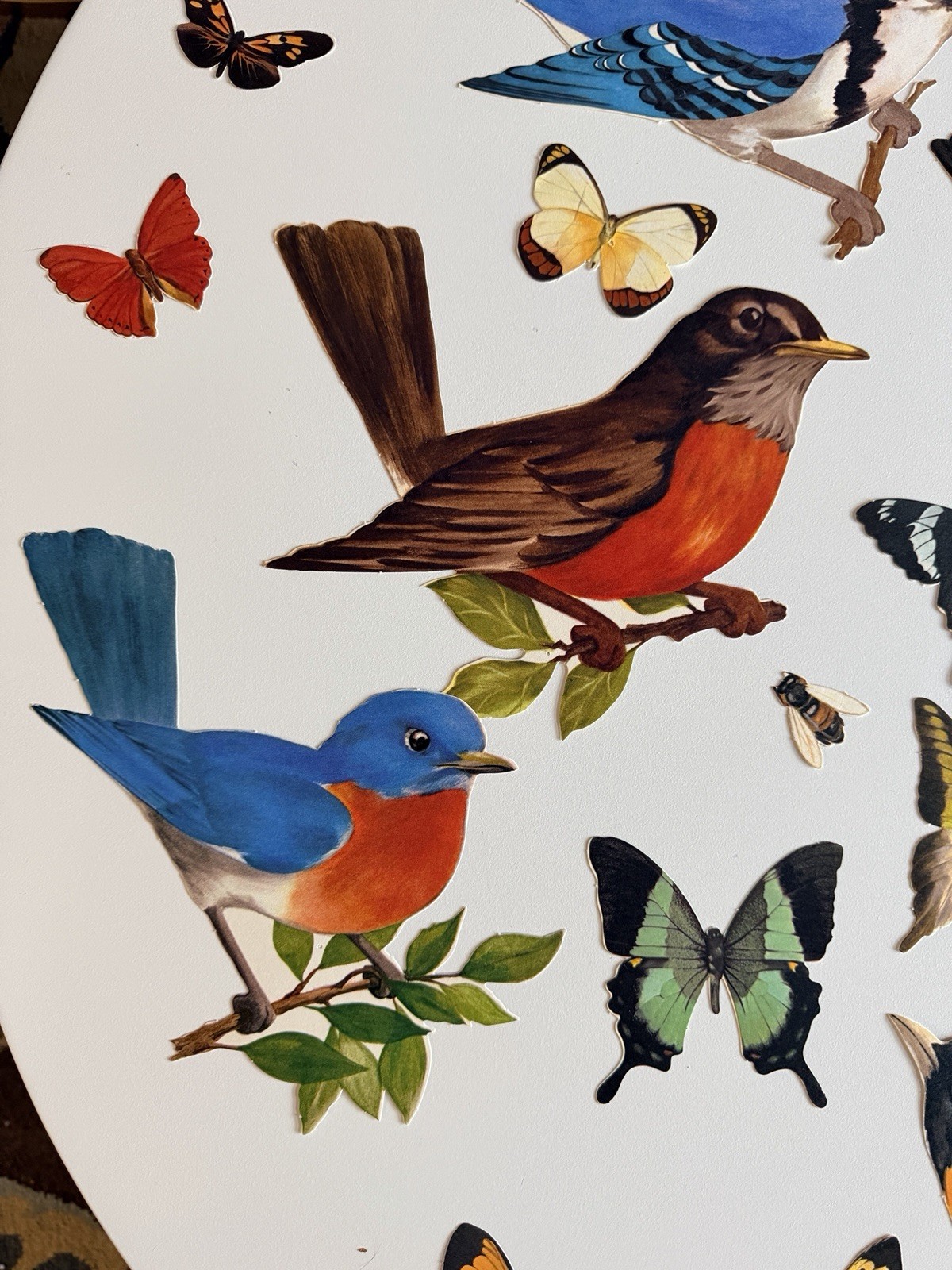 Vintage 1959 Hallmark Paper Birds & Butterflies Decorations Classroom Ephemera