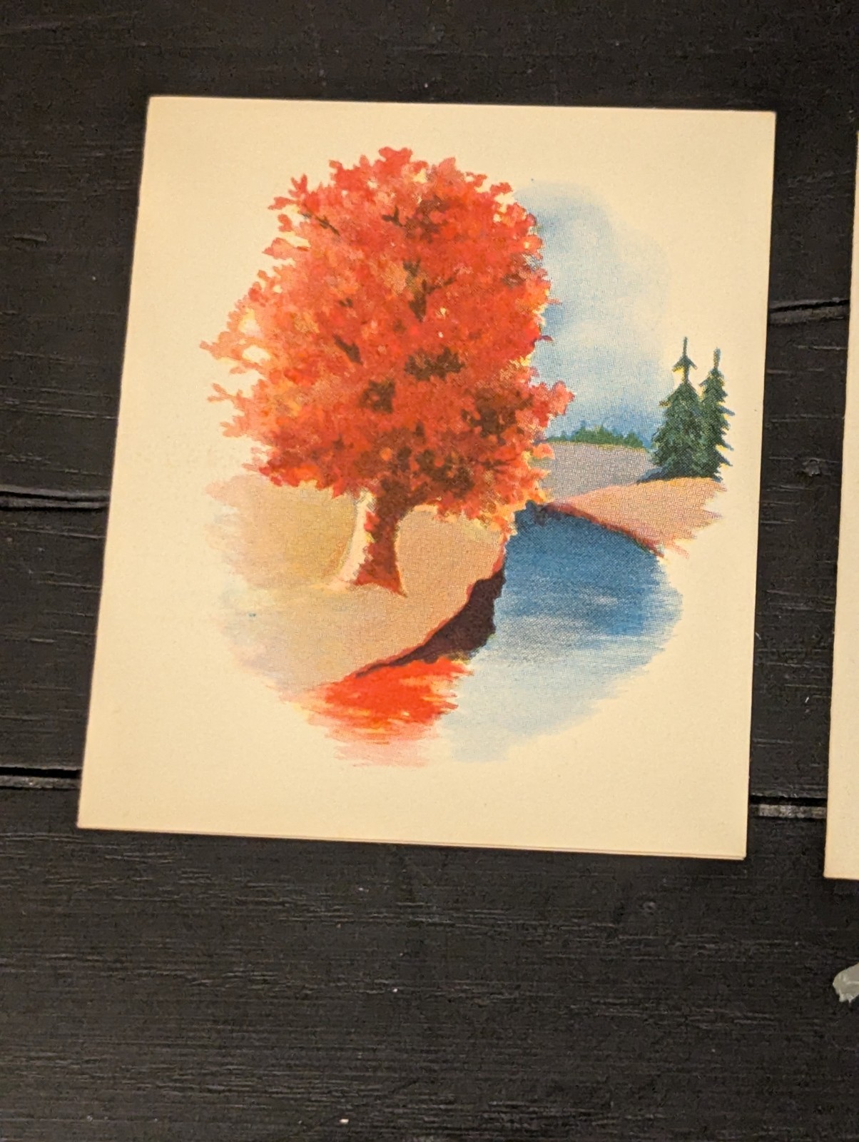 Vtg Bruelheide Bridge Tally Cards Lot Fall Autumn Trees Landscape Ephemera