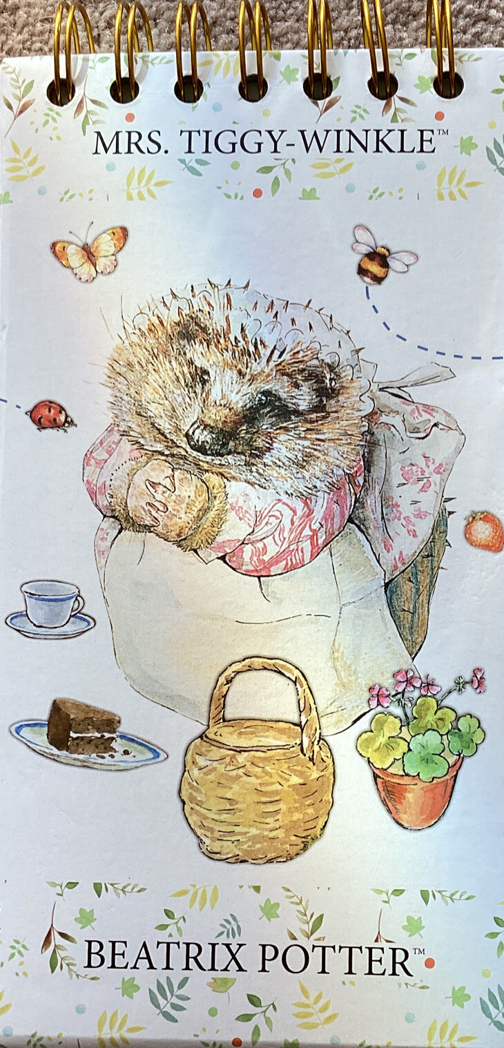 Mrs Tiggy Winkle Wiro Bound Beatrix Potter Lined Notepad ~ 7.5 x 4”