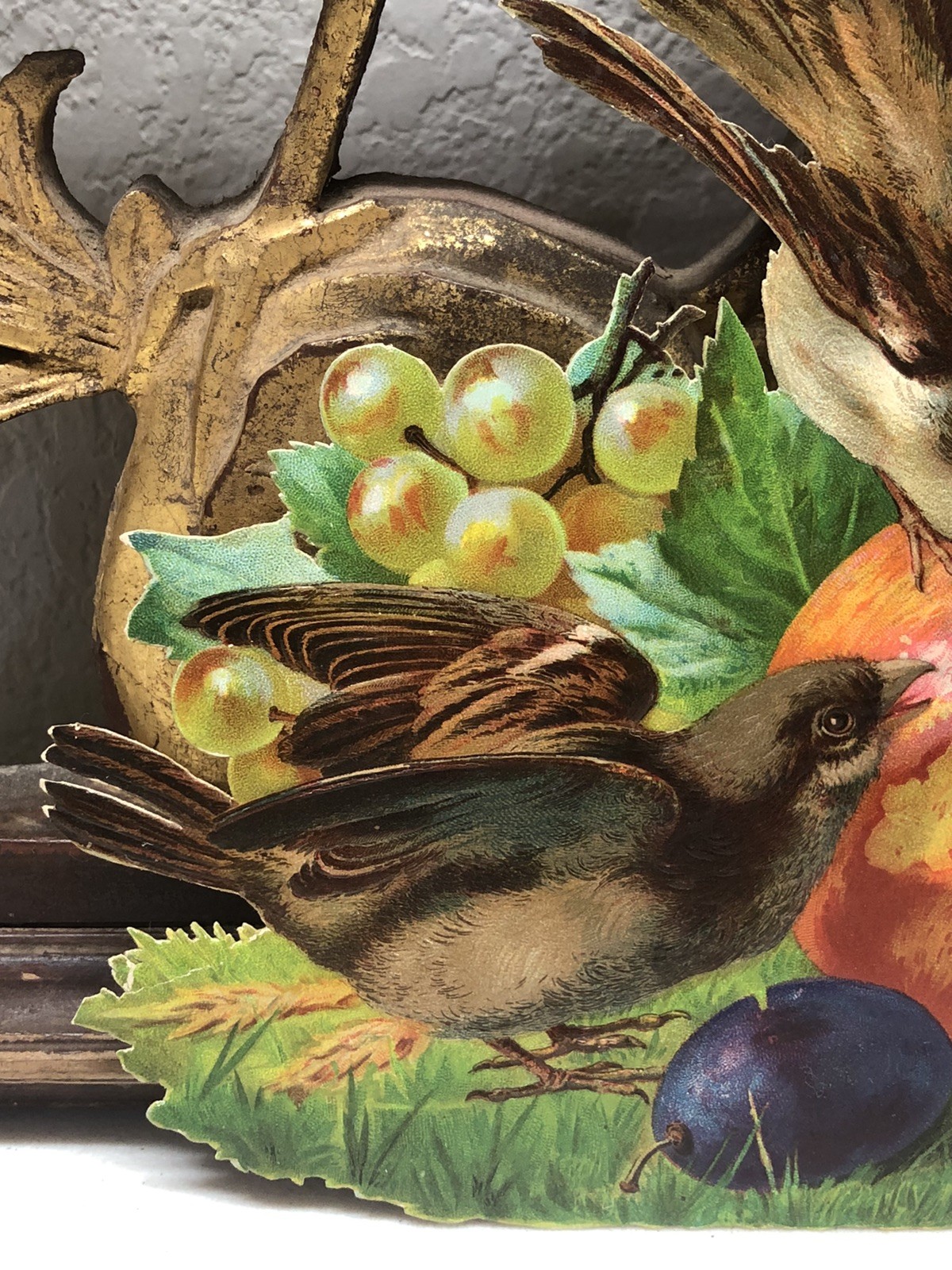 Birds Eating Fruits Victorian Die Cut Large Scrap – L8