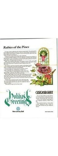 NJ Bell Telnews Mailer December 1982 Customer Guide Phone Service & Info