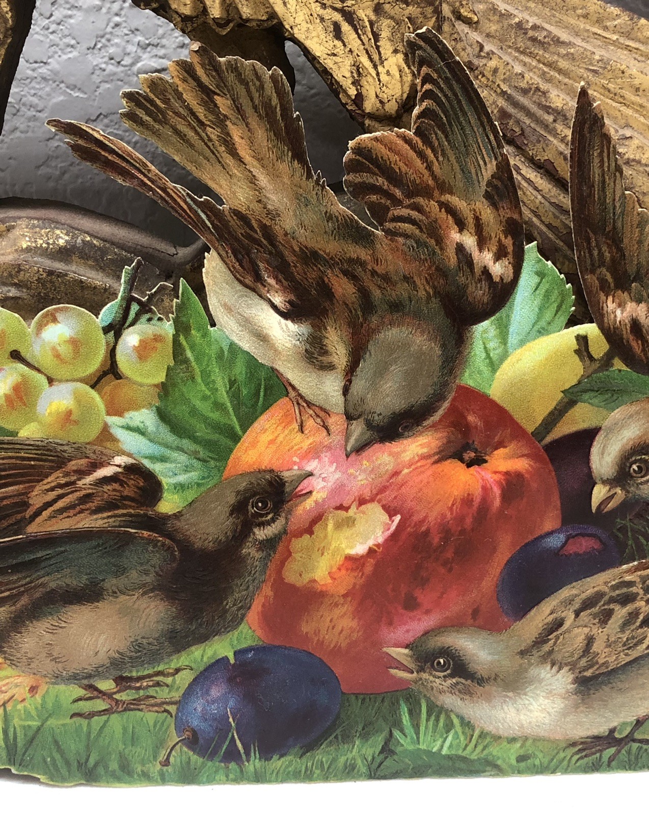 Birds Eating Fruits Victorian Die Cut Large Scrap – L8