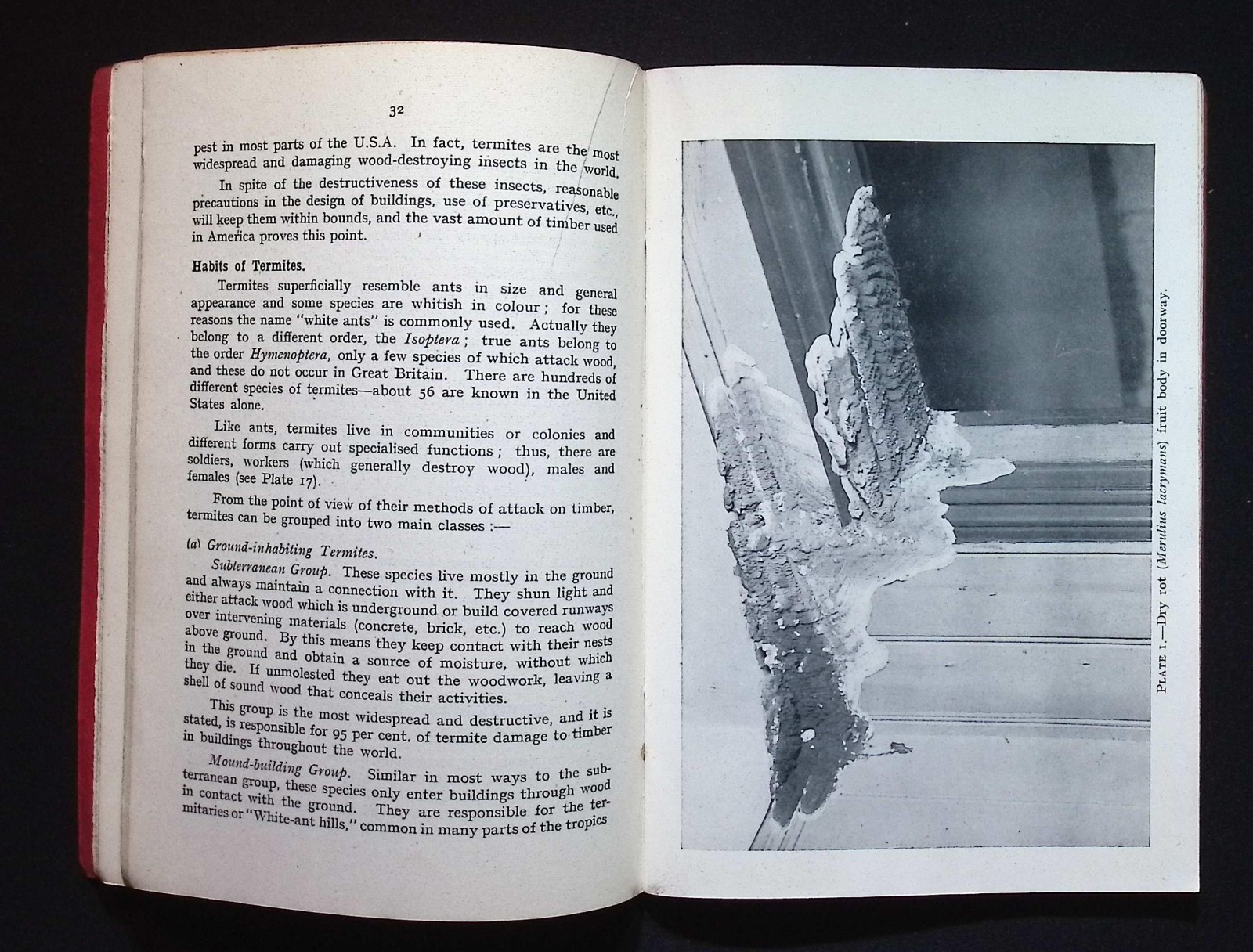 Timber Pests: Their Origin, Prevention & Cure by Timber Development Assoc., 1949