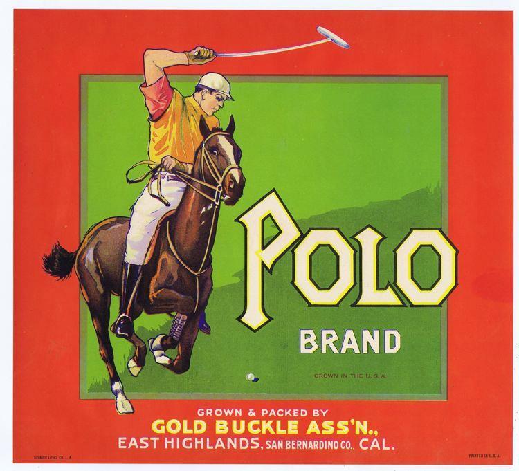 Polo, Horse, sport, San Bernadino California orange vintage Fruit Crate Label