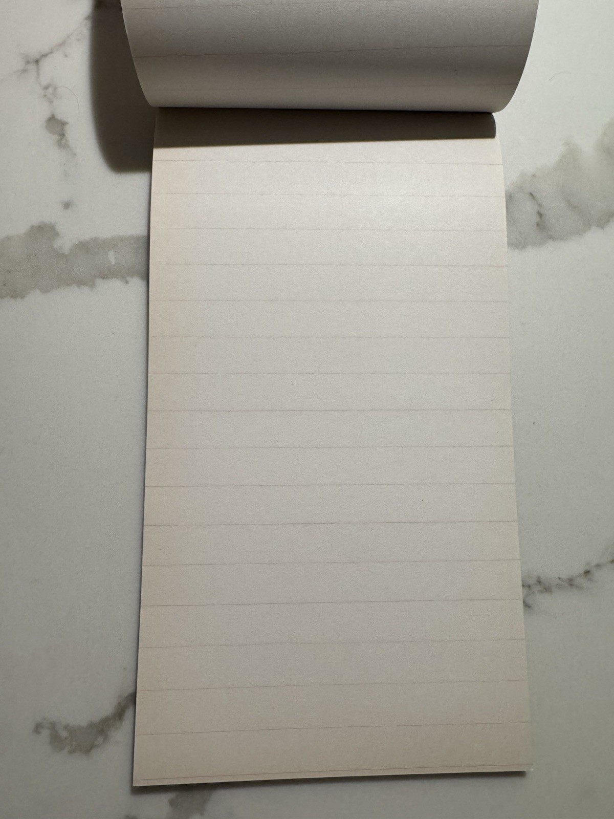 Stenographer’s Notebook Silverod No. 600 New Unused Lined Pages Vintage