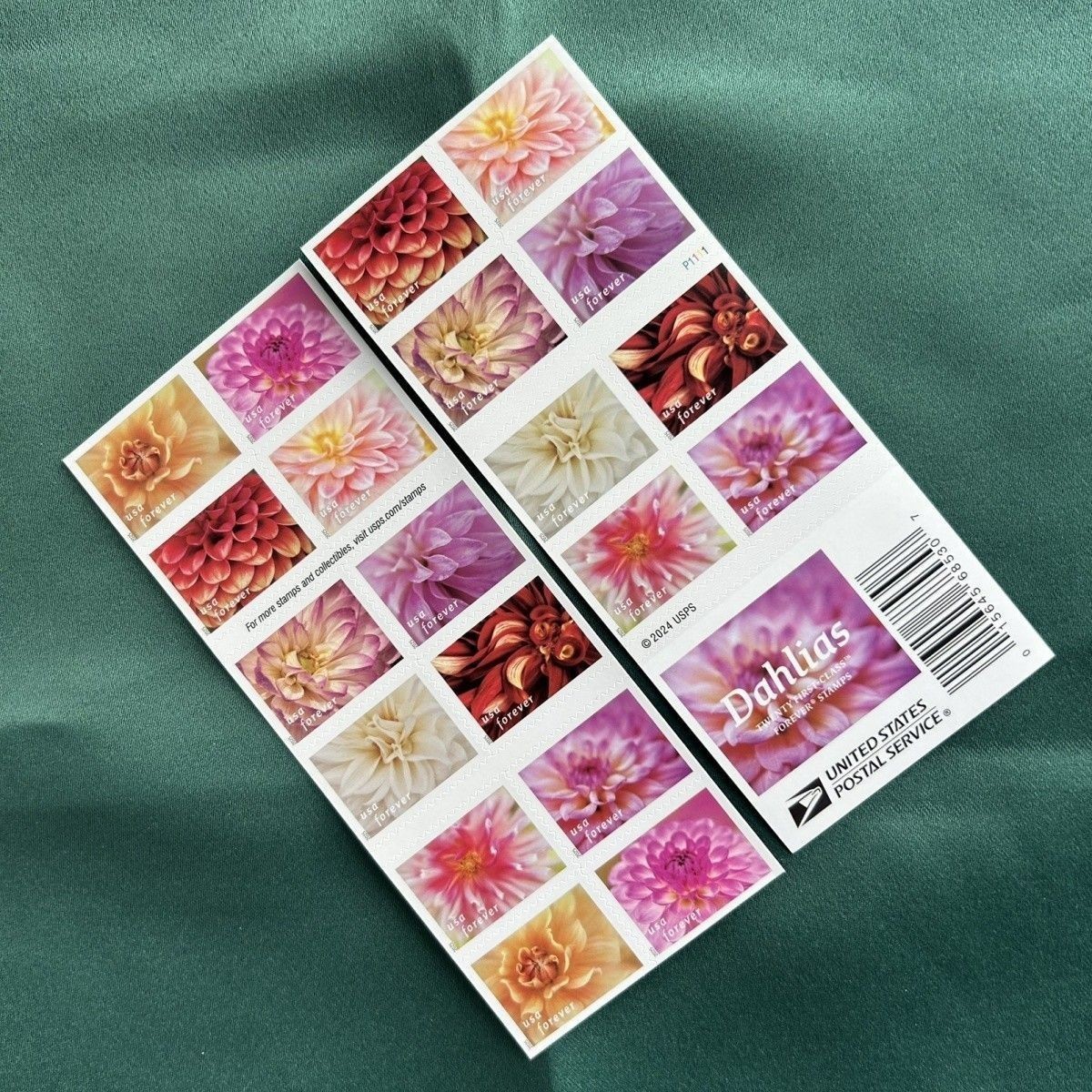 100 stamps 2025 Dahlia Flowers USPS Scott#5992-6001 MNH First Class Stamps
