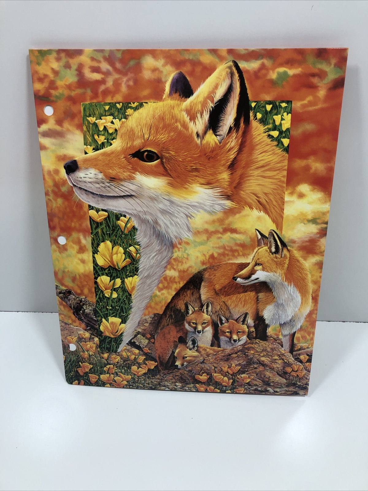 1996 Wild Animals Folder And 6 Posters USA Red Fox Owl Windows To The Wild