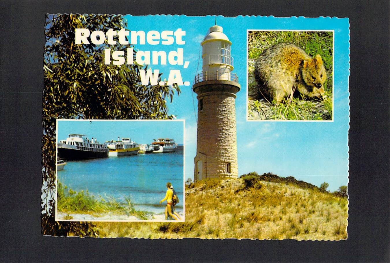 M4693 Australia WA Rottnest Island Lighthouse Quokka MV postcard