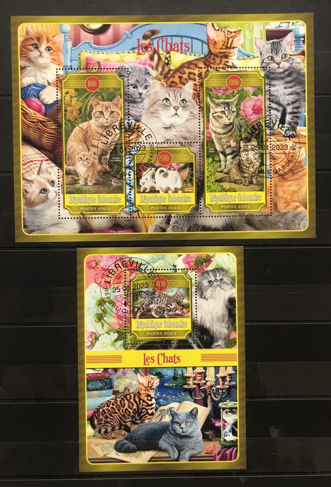 Cats / Gatos / Chats / Koty / Gatti / Pets – CTO – P2