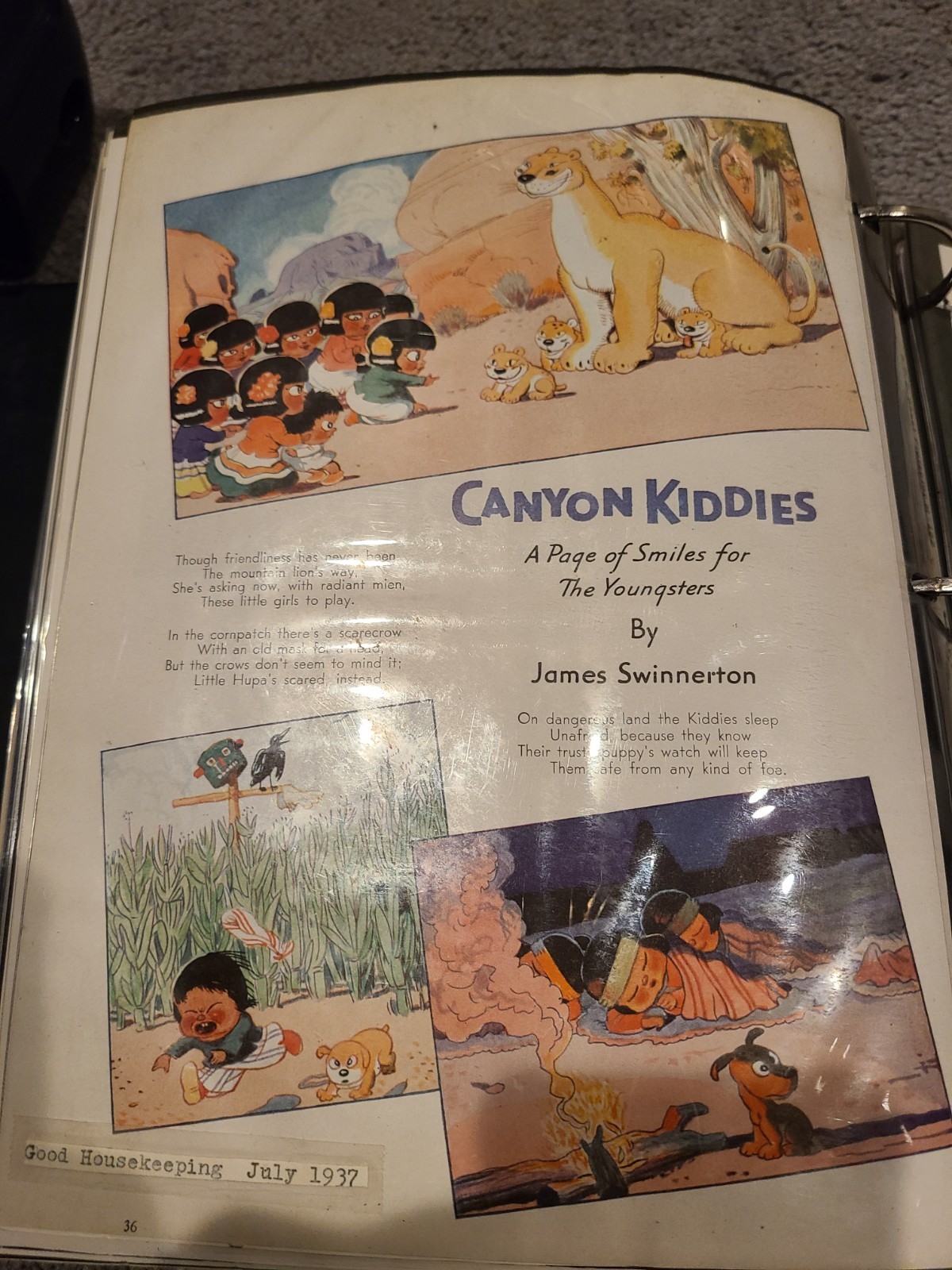 1936 Canyon Kiddies James Swinnerton Raccoon Wild Dove Vintage Print Ad Lot 10
