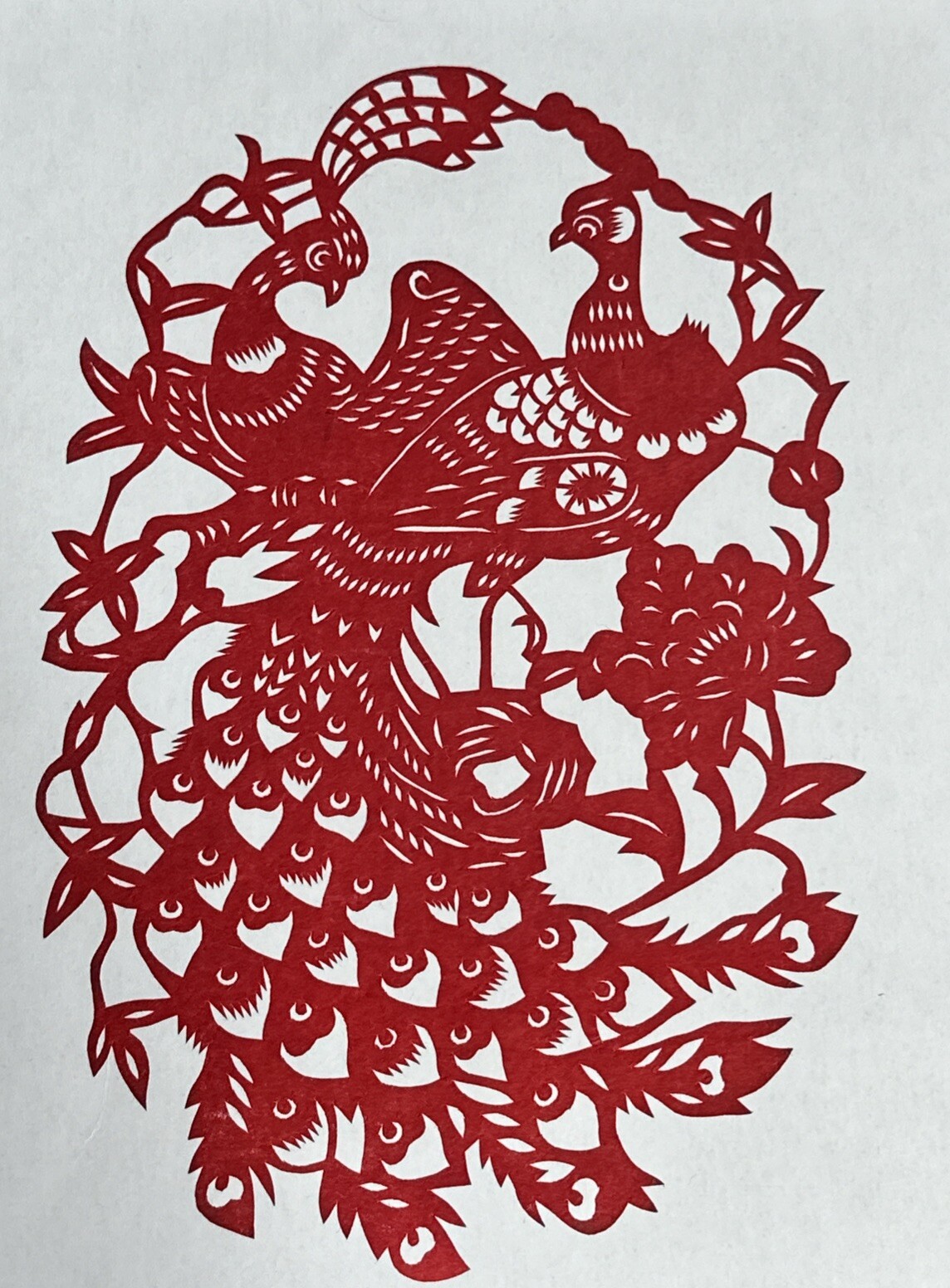 Chinese Paper Cuts Birds Butterfly Dragon Large Set 5 Red Single Pieces