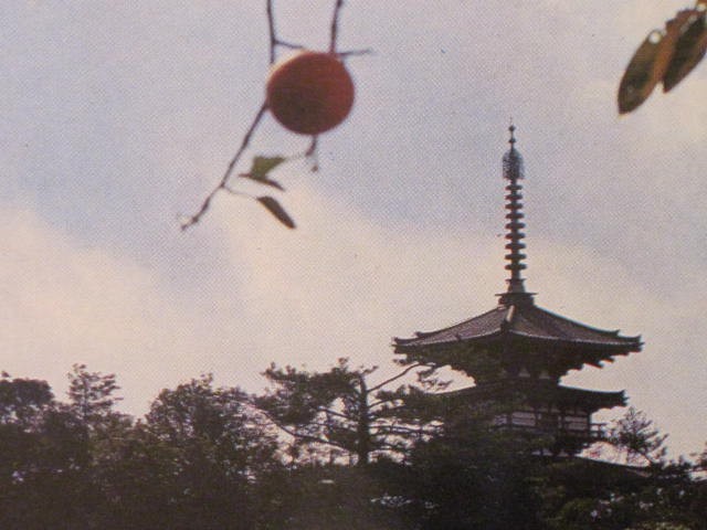 Yakushiji Temple / Nara Postcard – Japan / Approx. – Swift