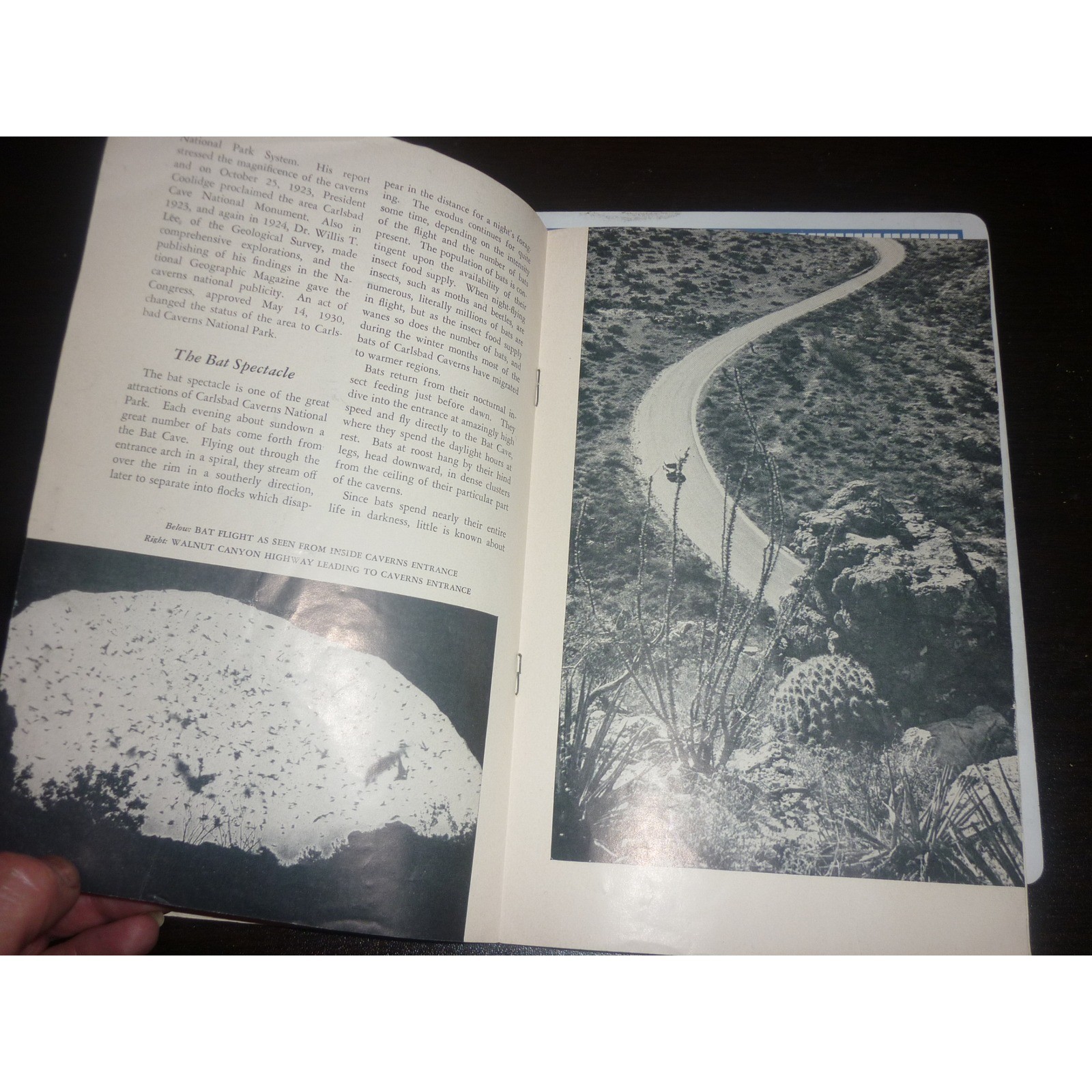 1951 Carlsbad Caverns National Park New Mexico Vintage Souvenir Booklet Map