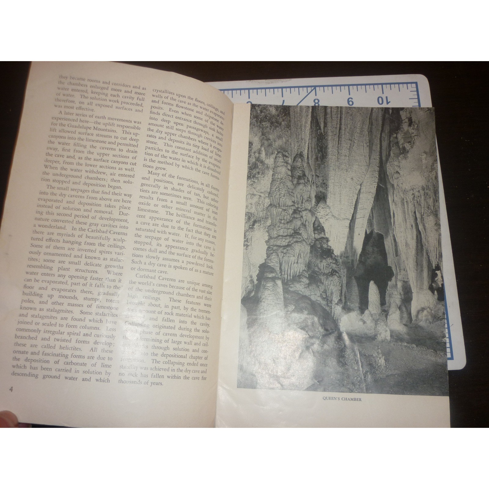 1951 Carlsbad Caverns National Park New Mexico Vintage Souvenir Booklet Map