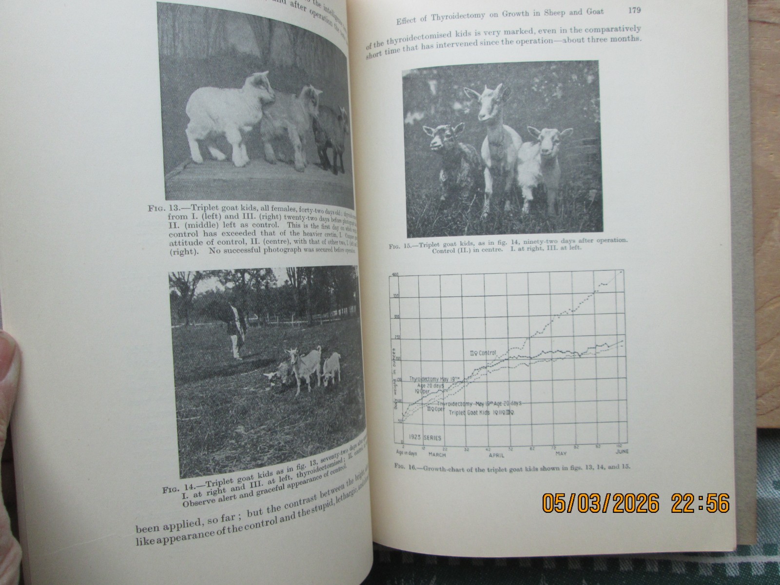 Quarterly Journal of EXPERIMENTAL psychology 1924