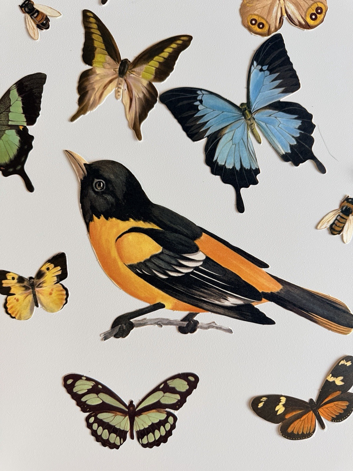 Vintage 1959 Hallmark Paper Birds & Butterflies Decorations Classroom Ephemera