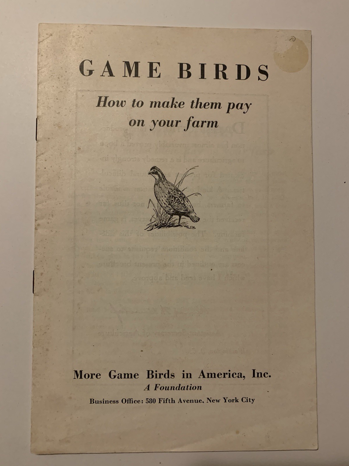 1940s More Game Birds in America Inc How to Make Them Pay On Your Farm Booklet