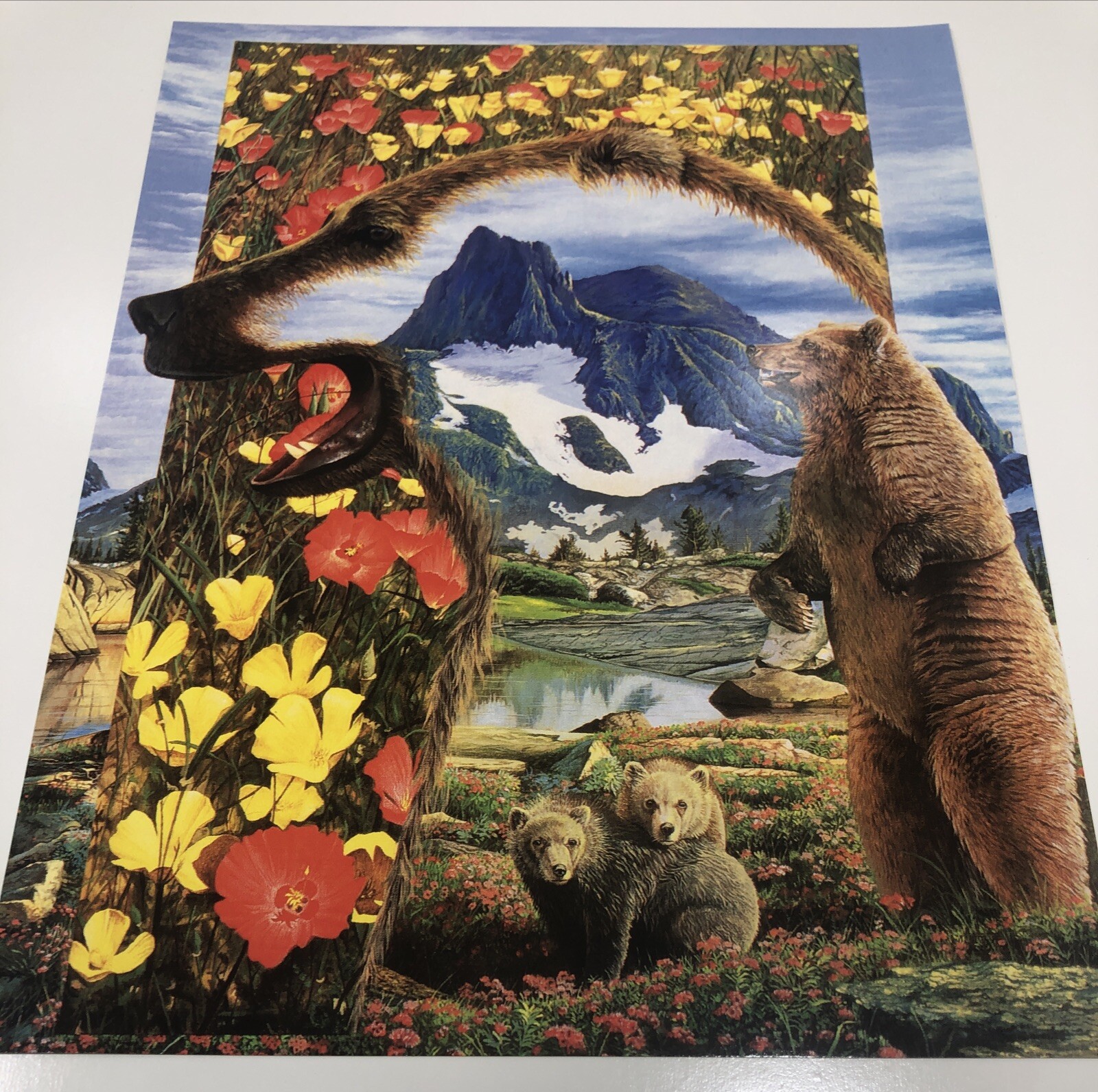 1996 Wild Animals Folder And 6 Posters USA Red Fox Owl Windows To The Wild