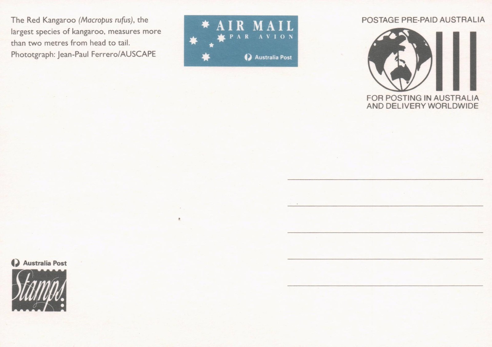 1994 Male Red Kangaroo POSTCARD Maxi card Cancelled Kingscote Kangaroo Island SA