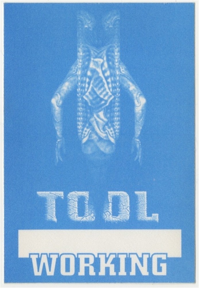 Tool 1993 Undertow concert tour rare vintage Working Crew Backstage Pass