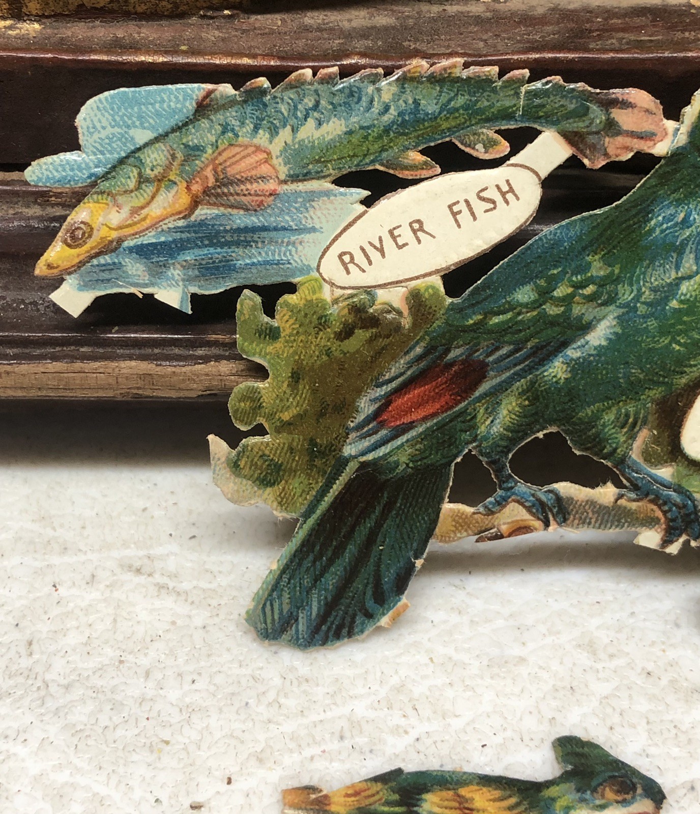 Birds of Africa + Fish Die Cut Scrap by Raphael Tuck & Sons Africa #896 L10
