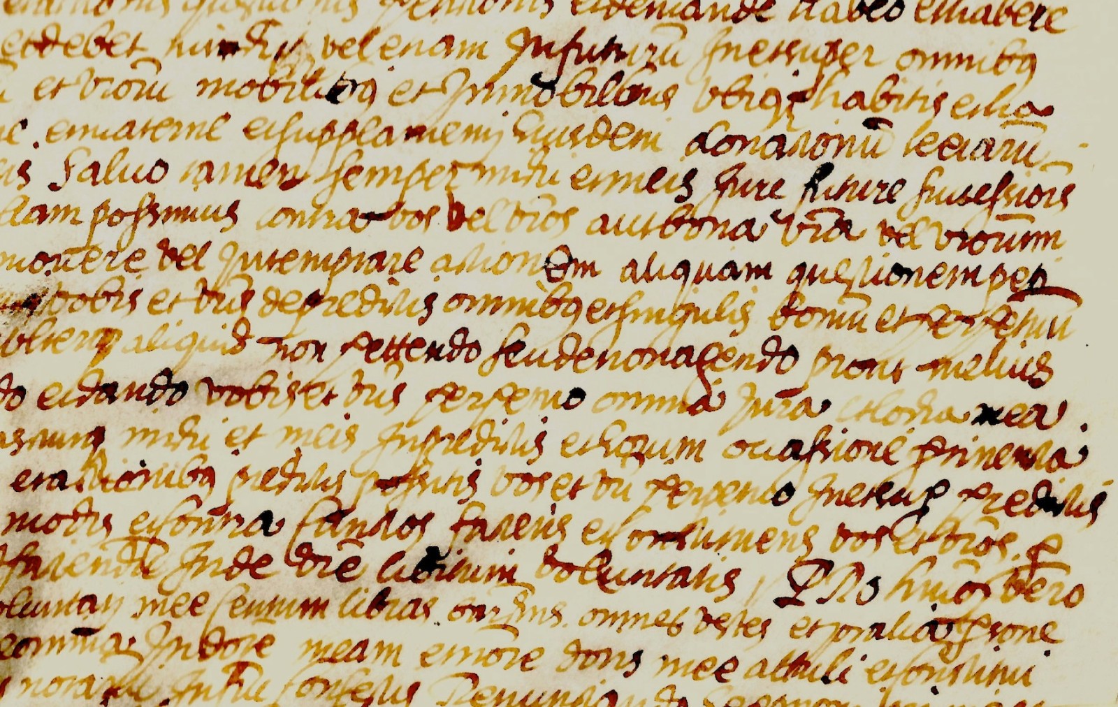 1560 Latin Manuscript Vellum Cantallops Catalonia Family CAPDARER FARRER