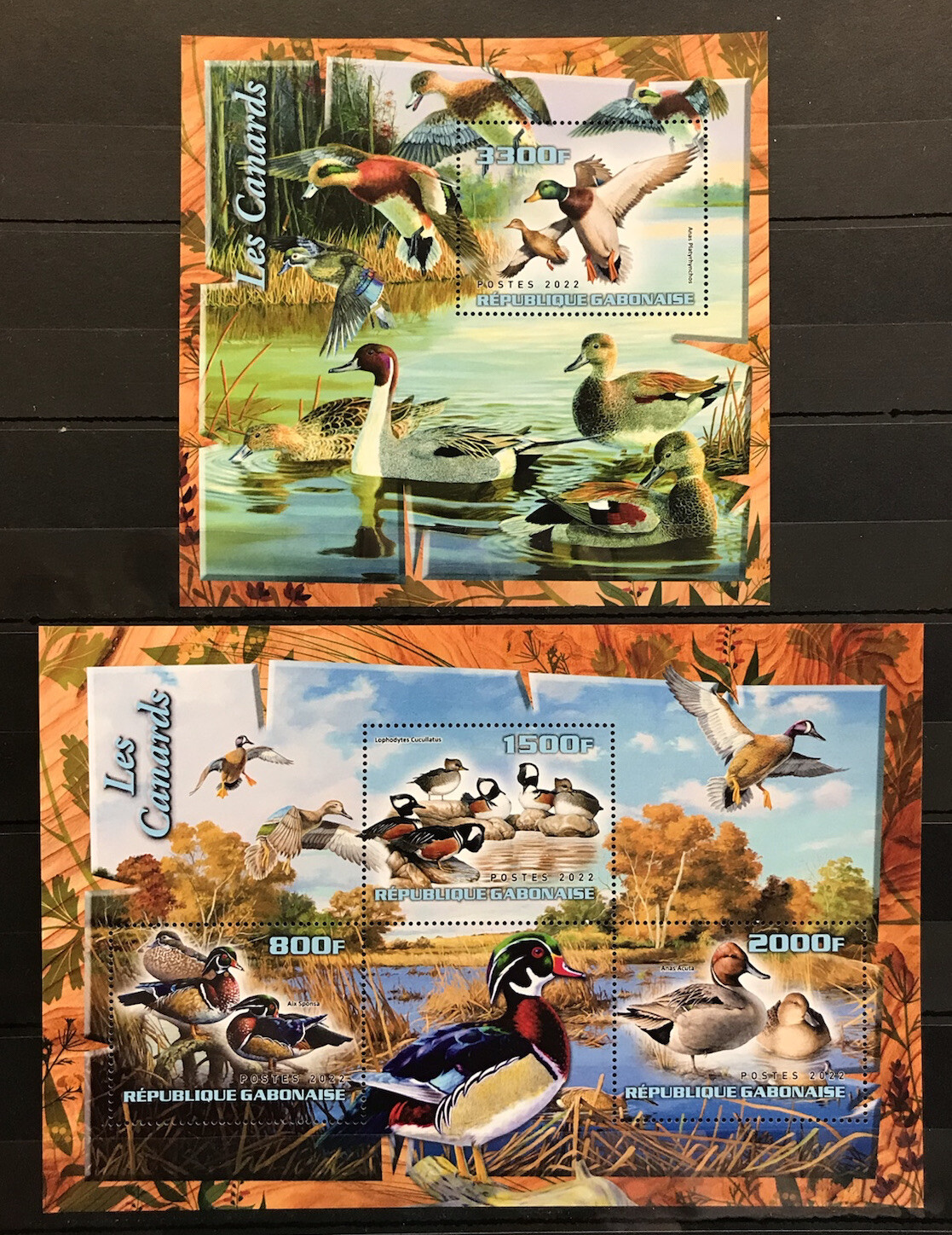 Ducks / Birds / Fauna / Nature – MNH** – P19