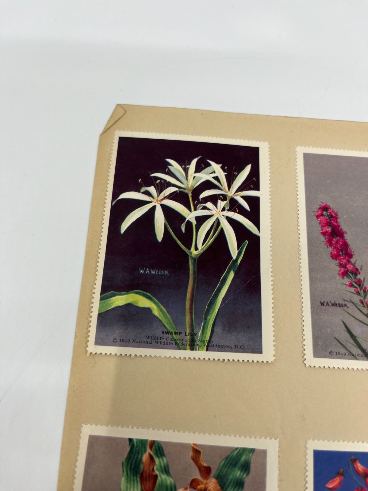 1951 National Wildlife Federation Wildlife Stamp Prints Birds Flowers Stamp Lot