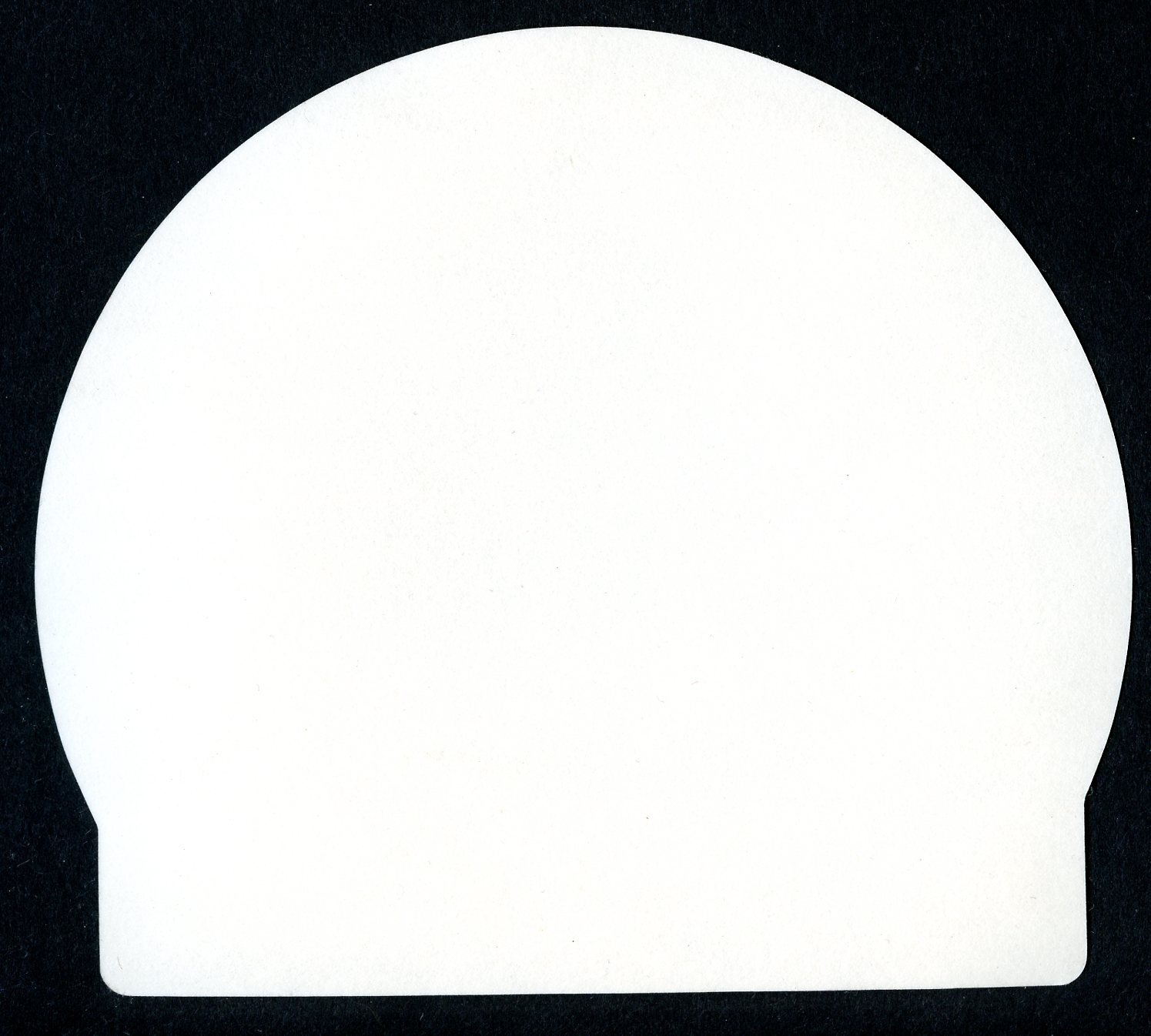 Pearl Jam Denver, CO 10/22/2014 Official LARGE Sticker Slap Dan Pendleton Pepsi