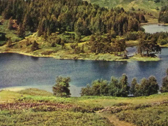 Tarn Hows Postcard – Printed in Keswick, England