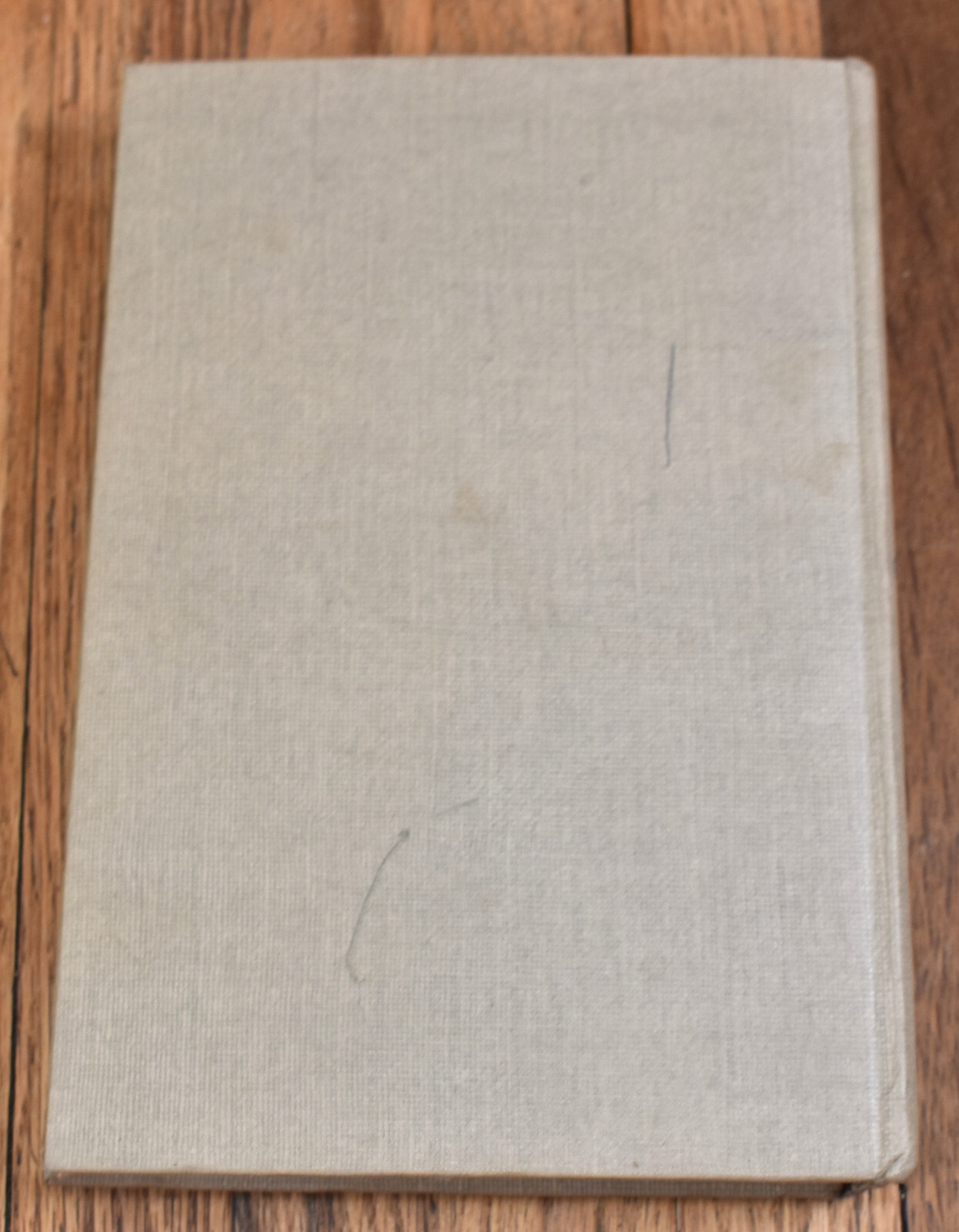 Beyond The Blue Mountains by Jean Plaidy Hardcover 1947 1st Edition Dust Jacket