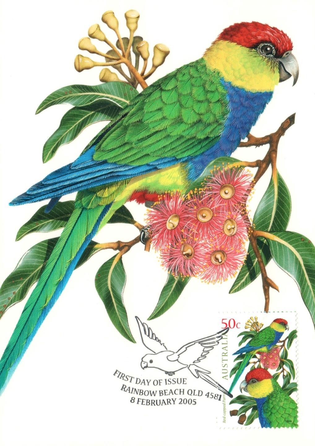 2005 Red-Capped Parrot POSTCARD Maxicard FDI 50c Stamp Cancelled Rainbow Beach