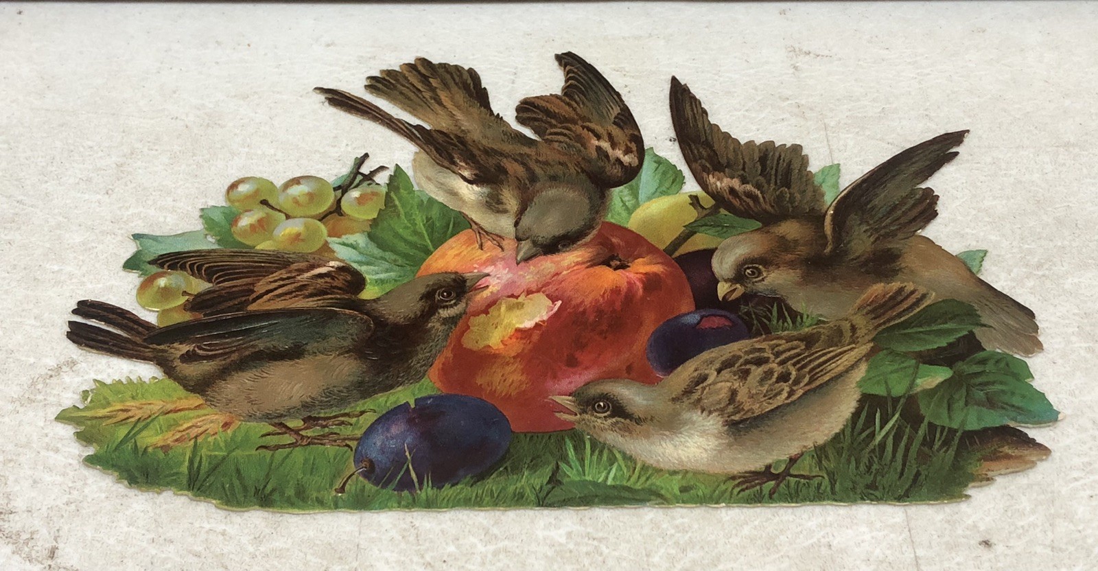 Birds Eating Fruits Victorian Die Cut Large Scrap – L8