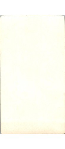 Sacred Heart Jesus & Lamb Devotional Card 1936 NG Basevi Sepia Tone Christ USA