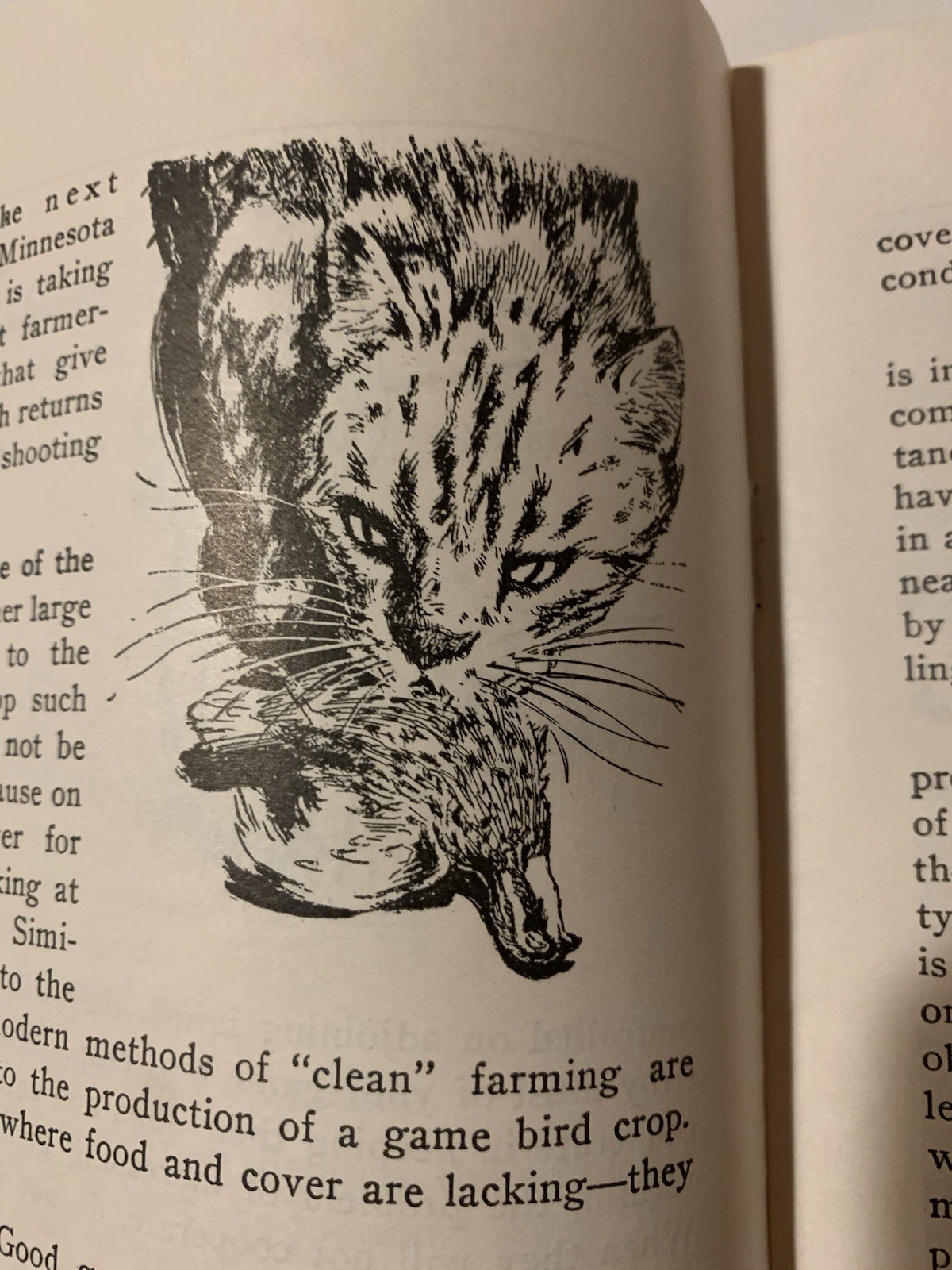 1940s More Game Birds in America Inc How to Make Them Pay On Your Farm Booklet