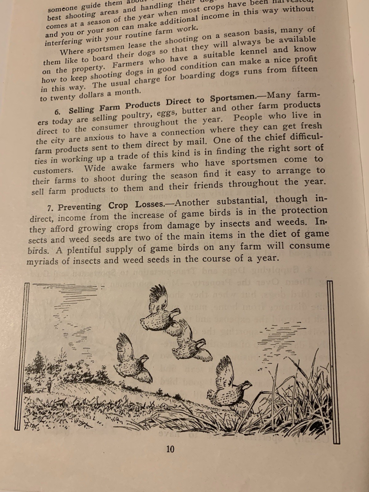 1940s More Game Birds in America Inc How to Make Them Pay On Your Farm Booklet
