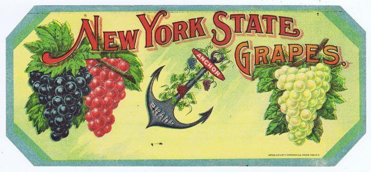New York State Grapes, Anchor Brand Fruit Crate Label