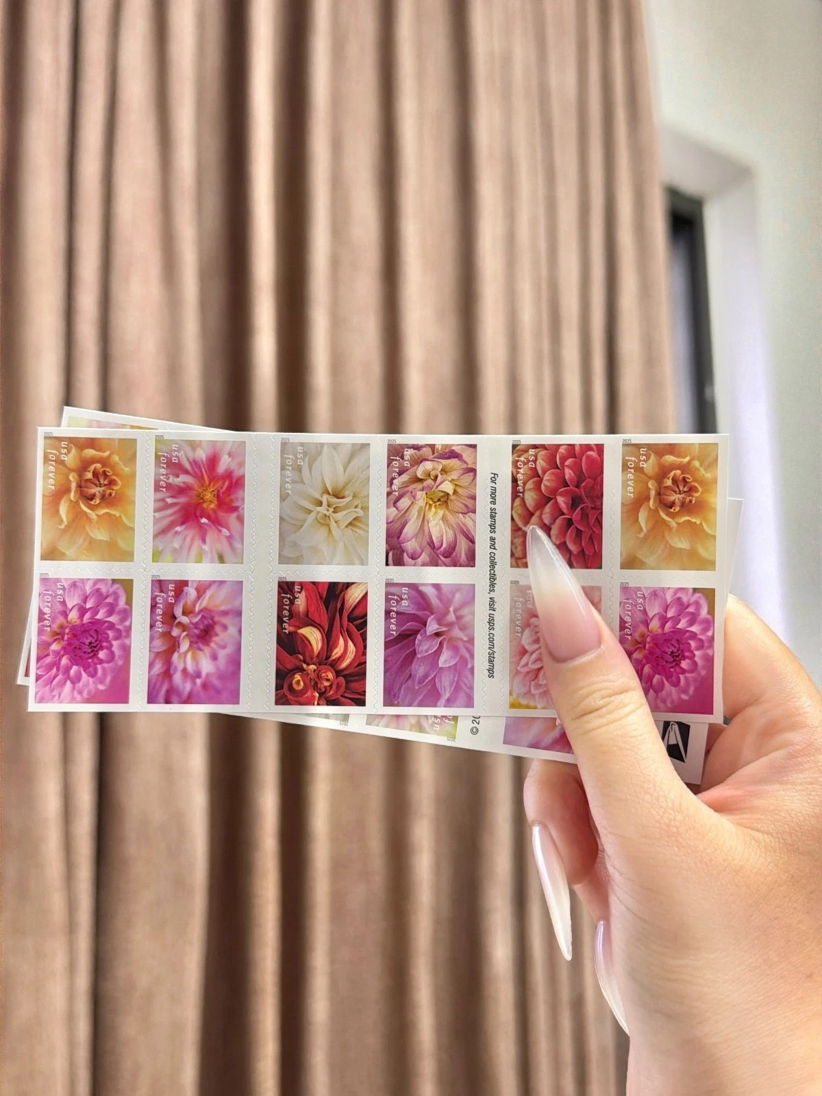 100PC Dahlias 2025 (5 Books of 20) First-Class Mail Forever Postage Stamps