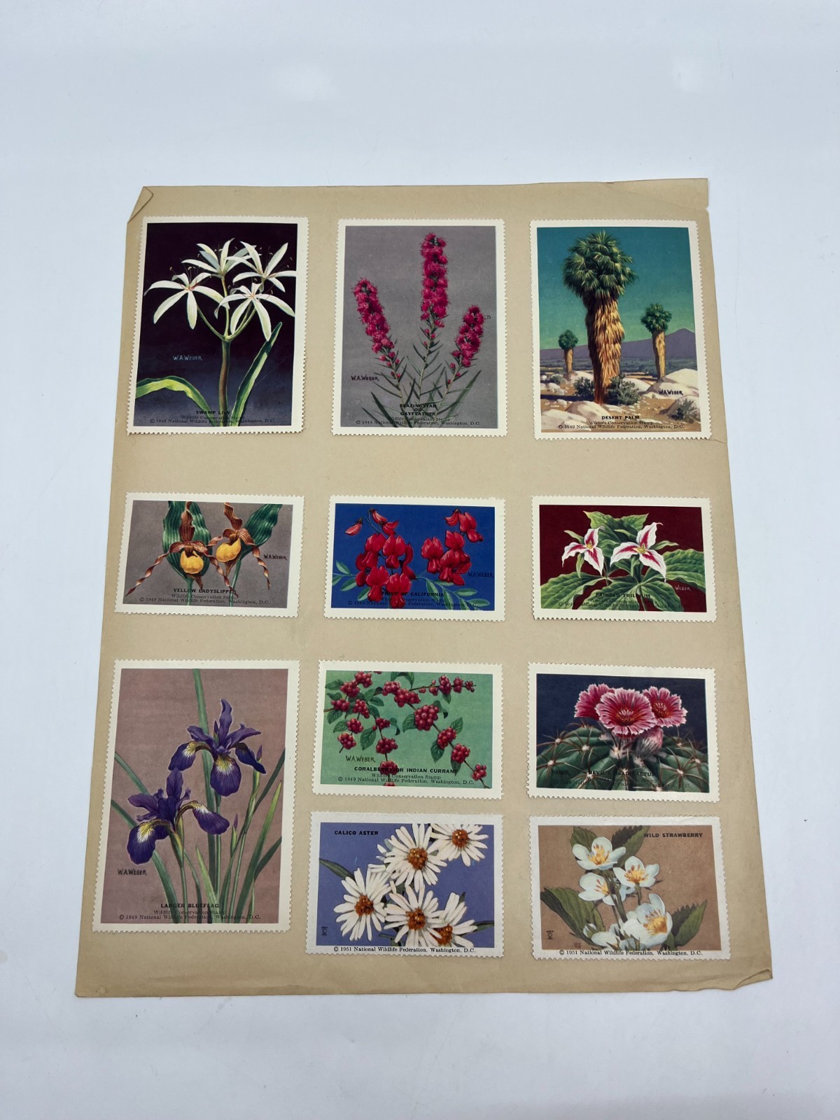 1951 National Wildlife Federation Wildlife Stamp Prints Birds Flowers Stamp Lot