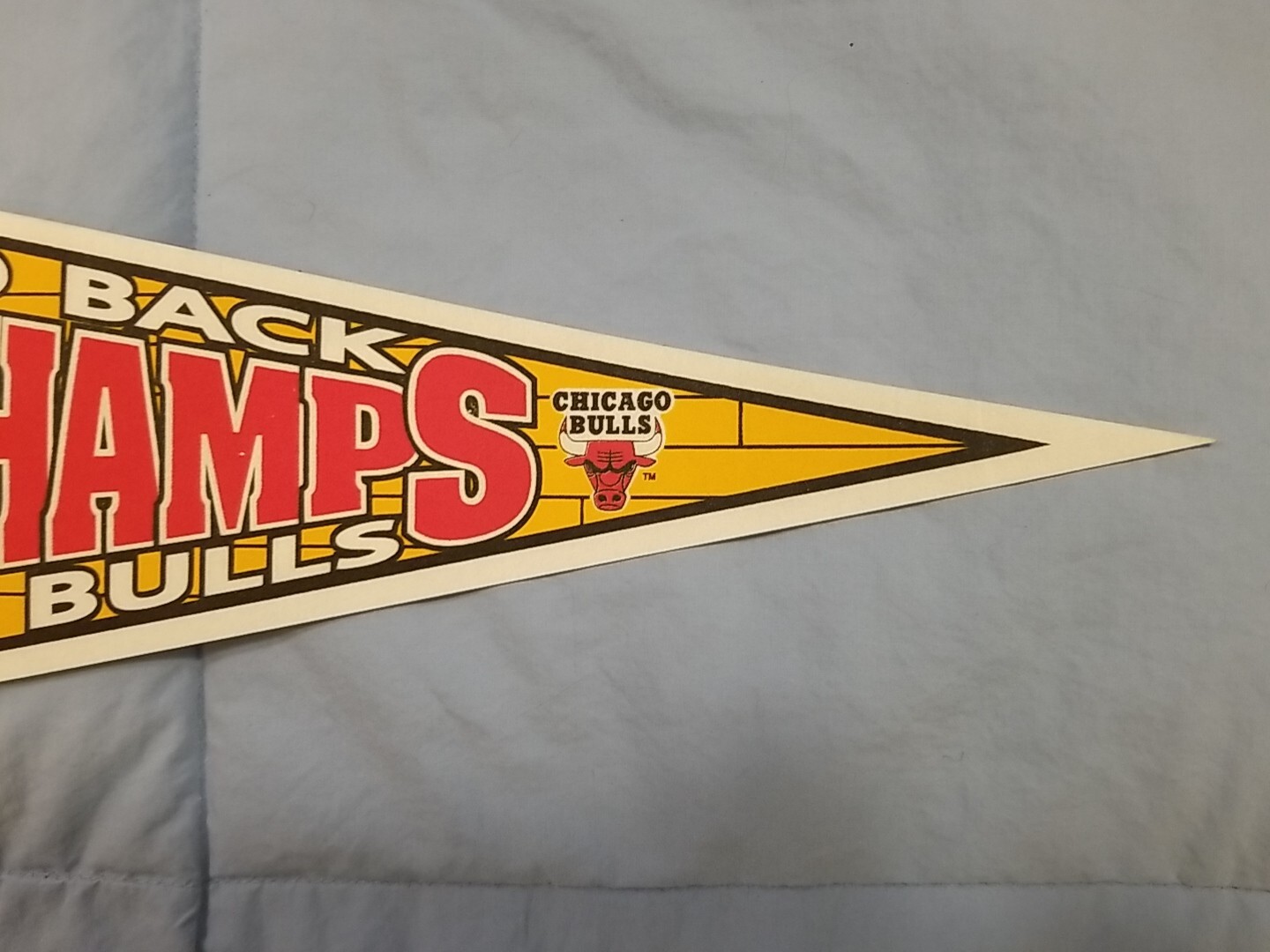 1992 Back to Back Champions Chicago Bulls Basketball Pennant Team Picture Jordan