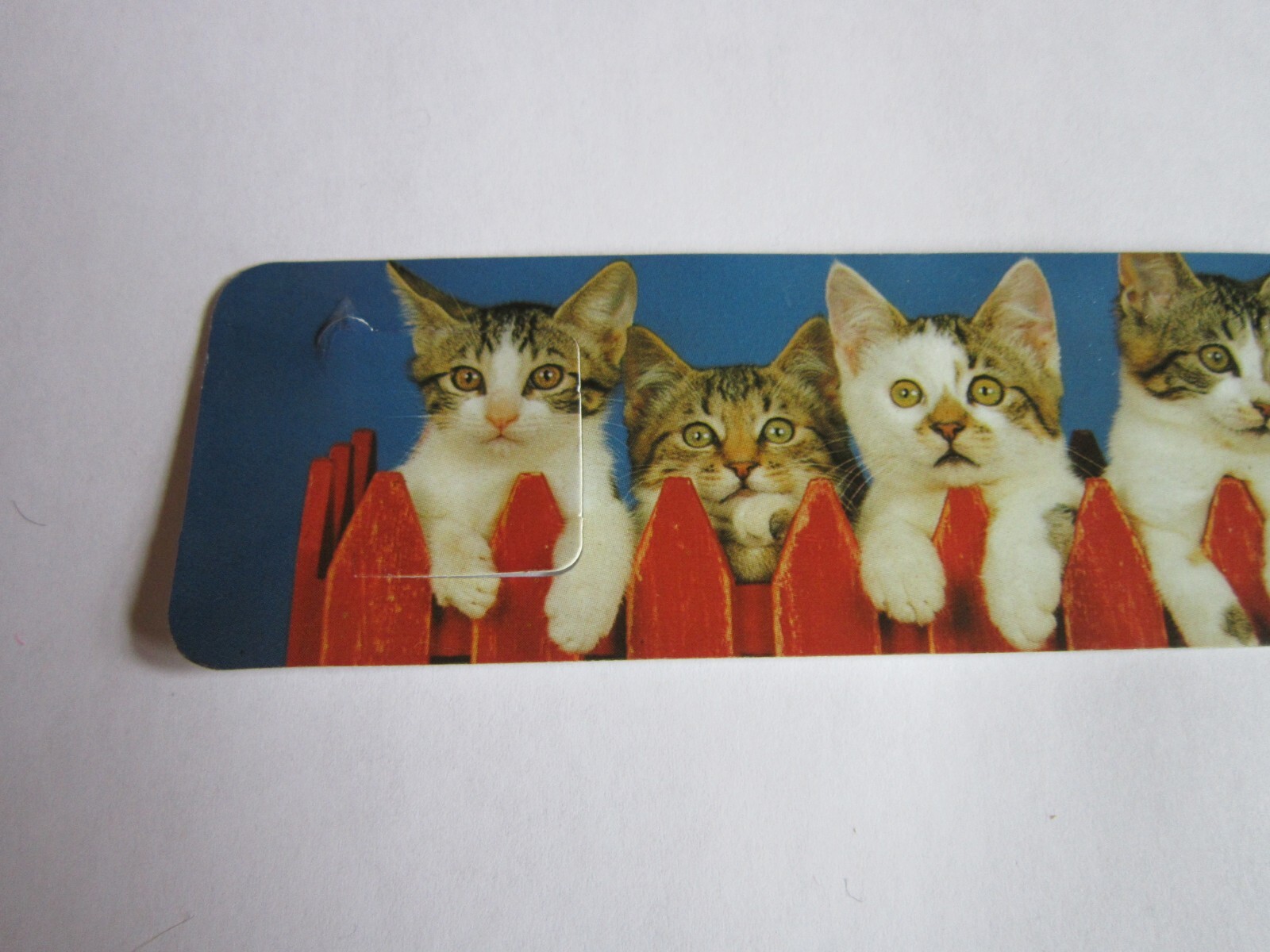 Vintage Bookmark Kittens 5 on fence Ron Kimball 1990’s photo Antioch Tabby Cat