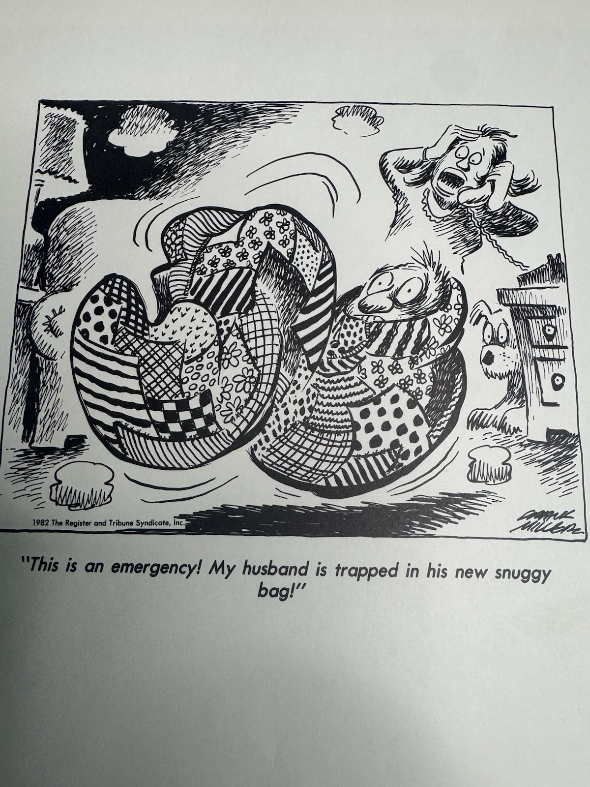 11 Vintage Graeme Miller Political Cartoon Prints 1981 1982 Register Tribune