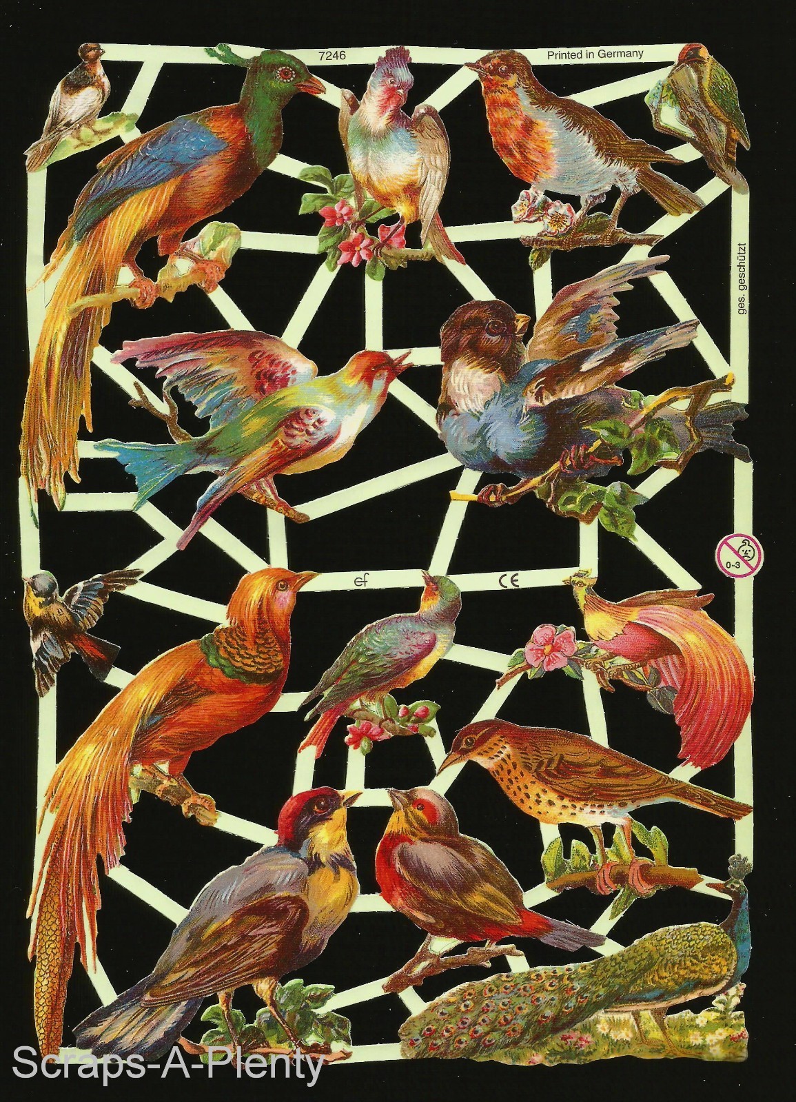 German Embossed Vintage Style Scrap Die Cut – Beautiful Colorful Birds EF7246