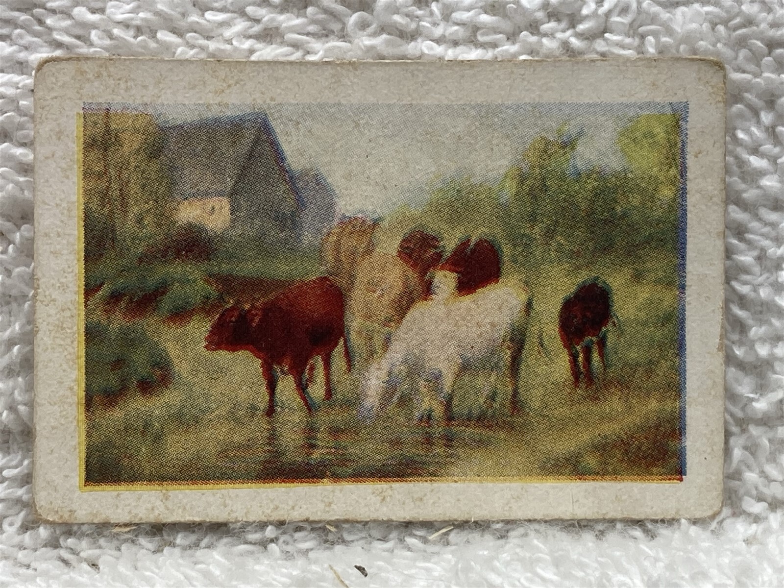 1800s 1900s Unknown Tobacco Cards Family Home Sheep Lovers Vtg