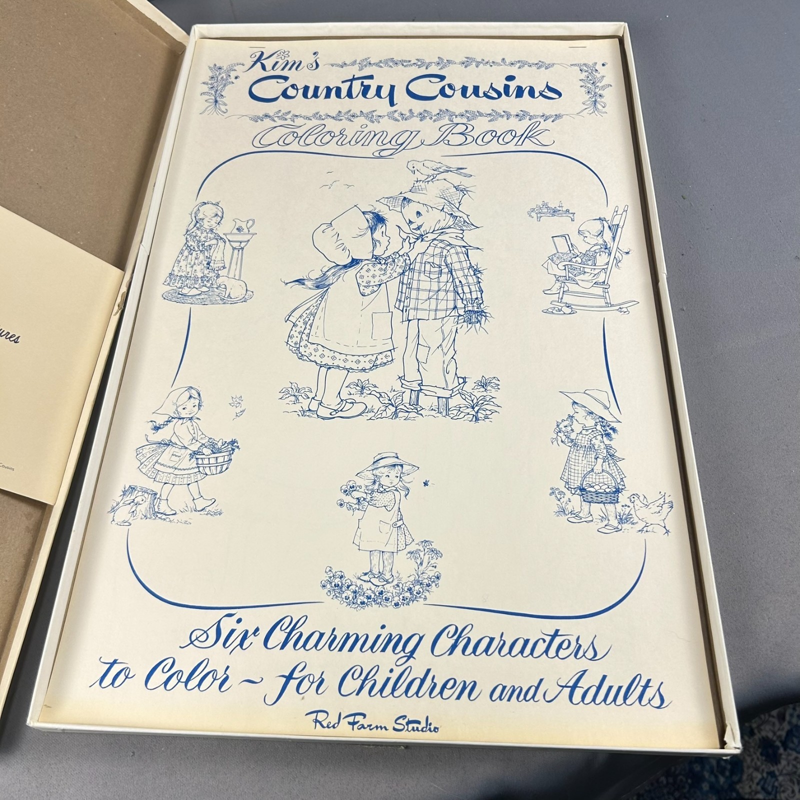 Kim’s Country Cousins Coloring Book Red Farm Studio – 100% Uncolored COTTAGECORE