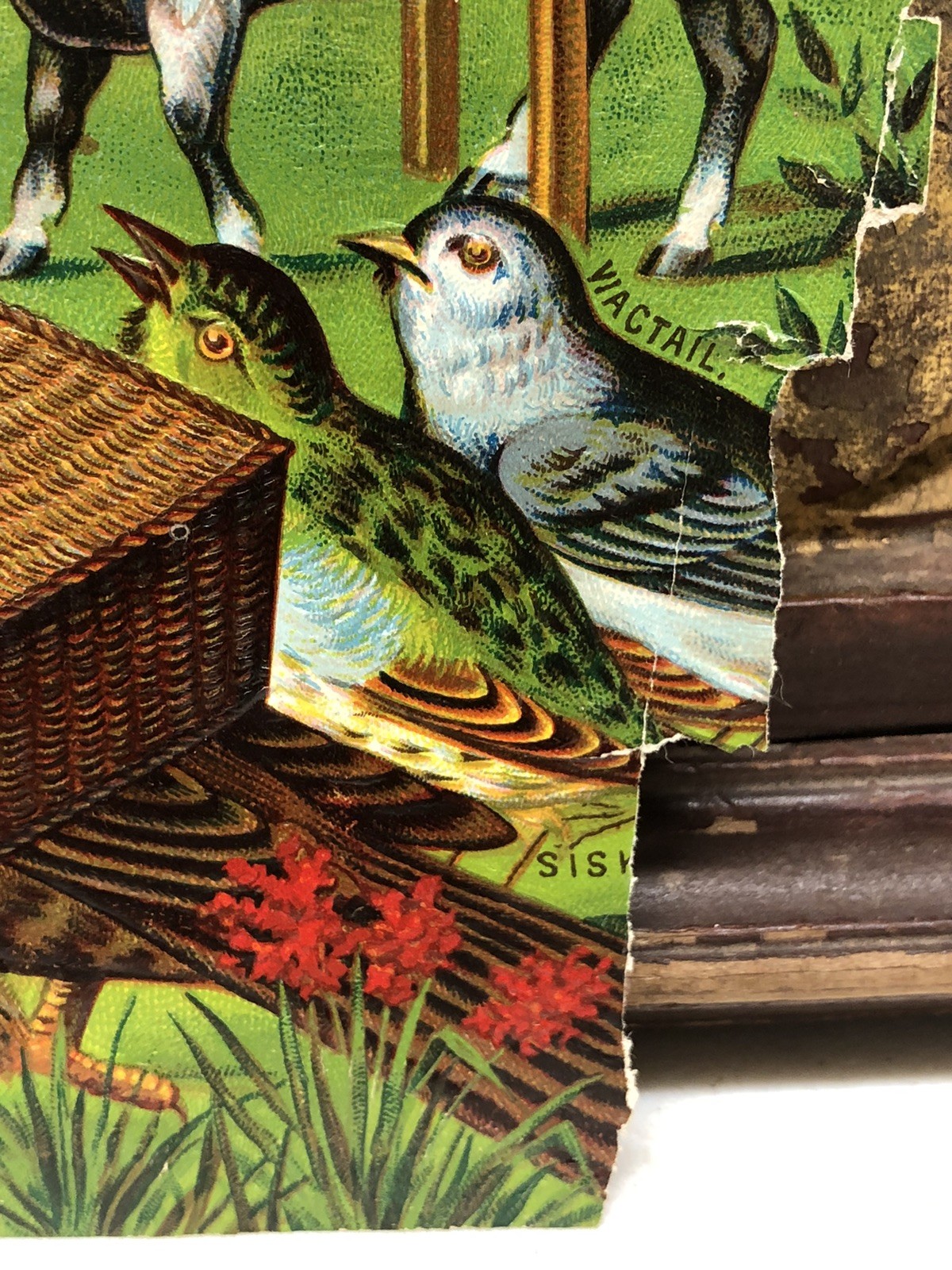 Victorian Die Cut Embossed Scrap Birds Having A Funeral Service w Prayer Book L8
