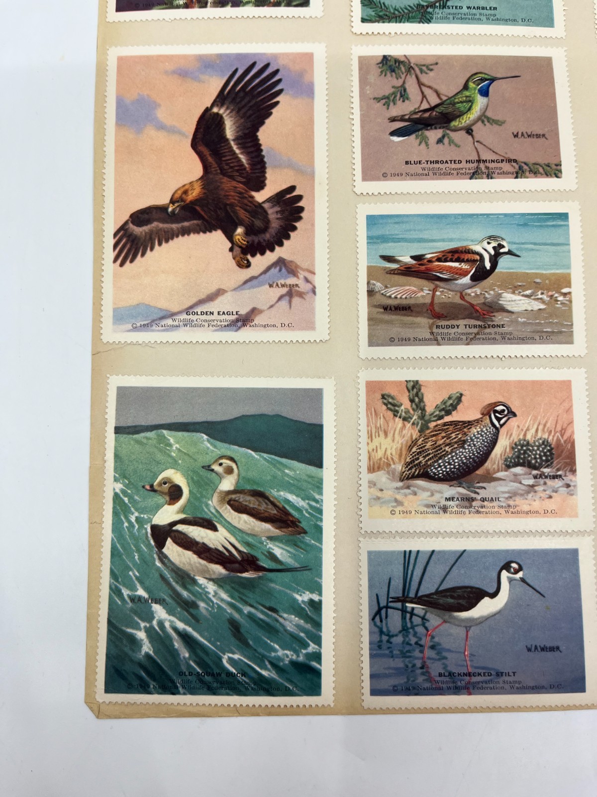 1951 National Wildlife Federation Wildlife Stamp Prints Birds Flowers Stamp Lot