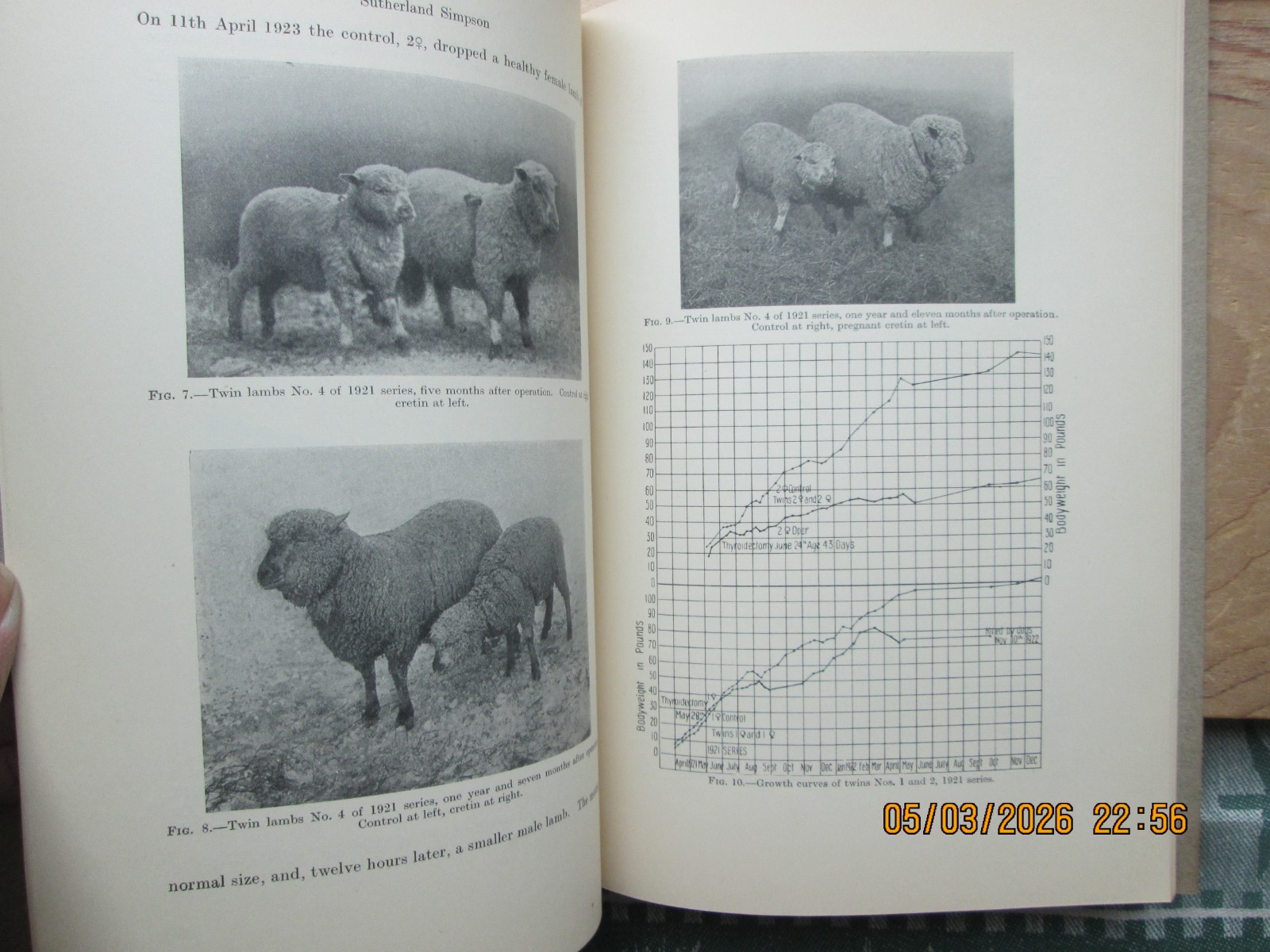 Quarterly Journal of EXPERIMENTAL psychology 1924