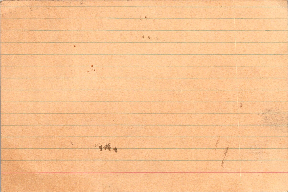 Early 1900s SALT MACKEREL Price Tag 15 Cents Each Grocery Label